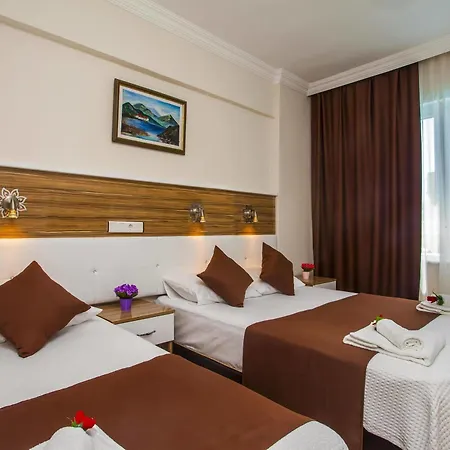 فندق Boreas 3*